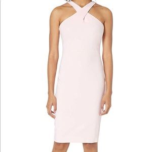 NWOT LIKELY Carolyn dress in pink size 4